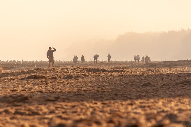 Beach Seashore Sand - Free photo on Pixabay - Pixabay